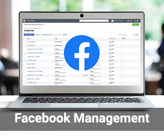 Facebook Management 