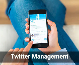 Twitter Management 