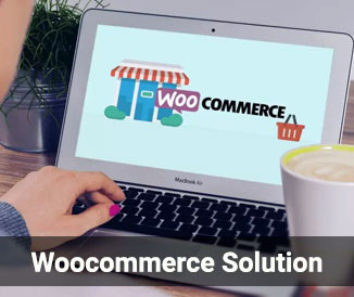 woocommerce Solution